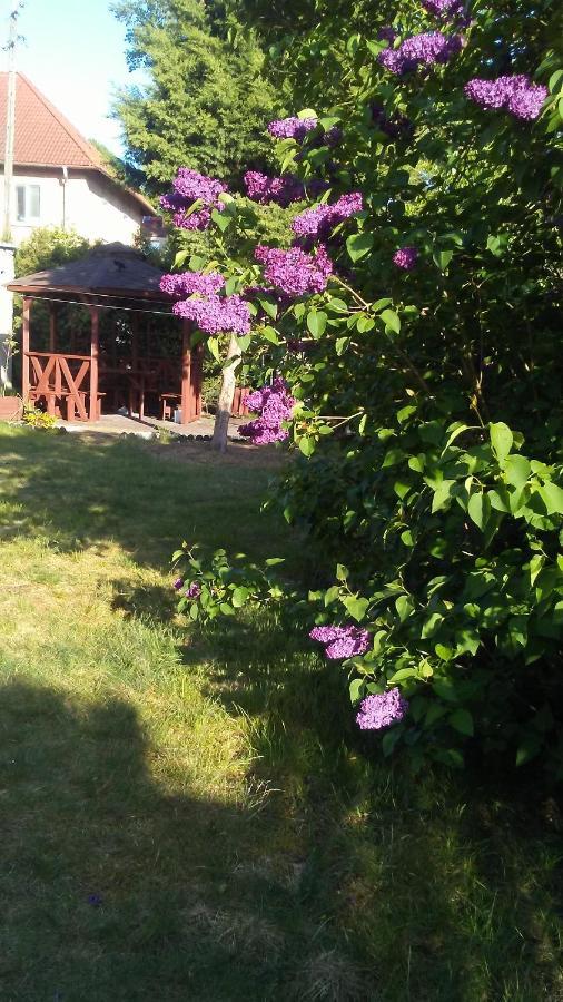 Mieszkanie Z Ogrodkiem I Grillem * Svinoústí